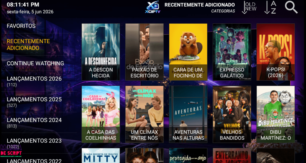 SCRIPT XCIPTV V10 USUARIO E SENHA E VIA MAC COM REVENDEDOR 2026 - Imagem 7